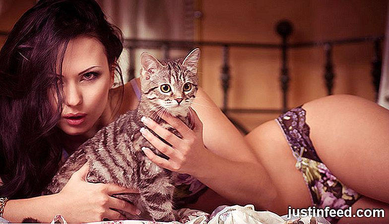 16 Signes Vous êtes un chaton sexuel et vous l'aimez!